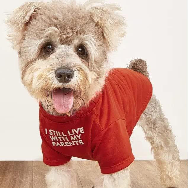 Funny Printed Pet T-Shirt – Soft Casual Clothing for Dogs & Cats