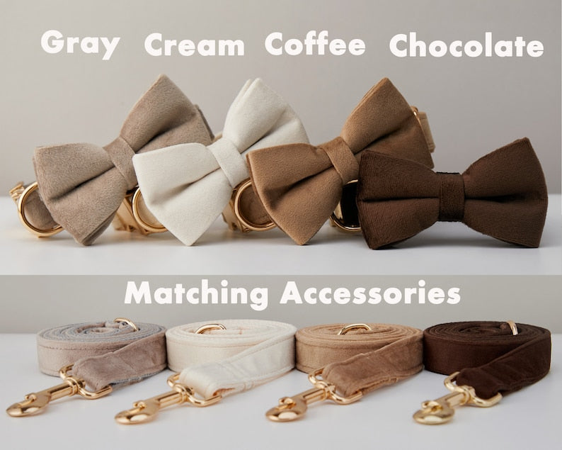 Premium Velvet Dog Collar &amp; Leash Set with Bow Tie – Personalized Engraved Buckle