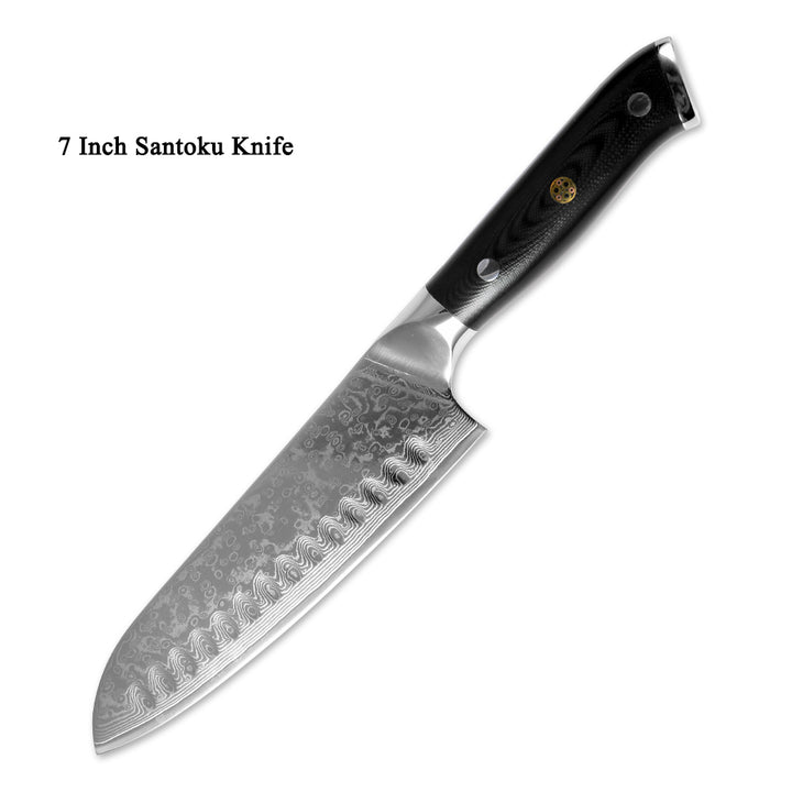 Japanese 67-Layer Damascus Steel Kitchen Knife – Professional Chef & Fruit Knife