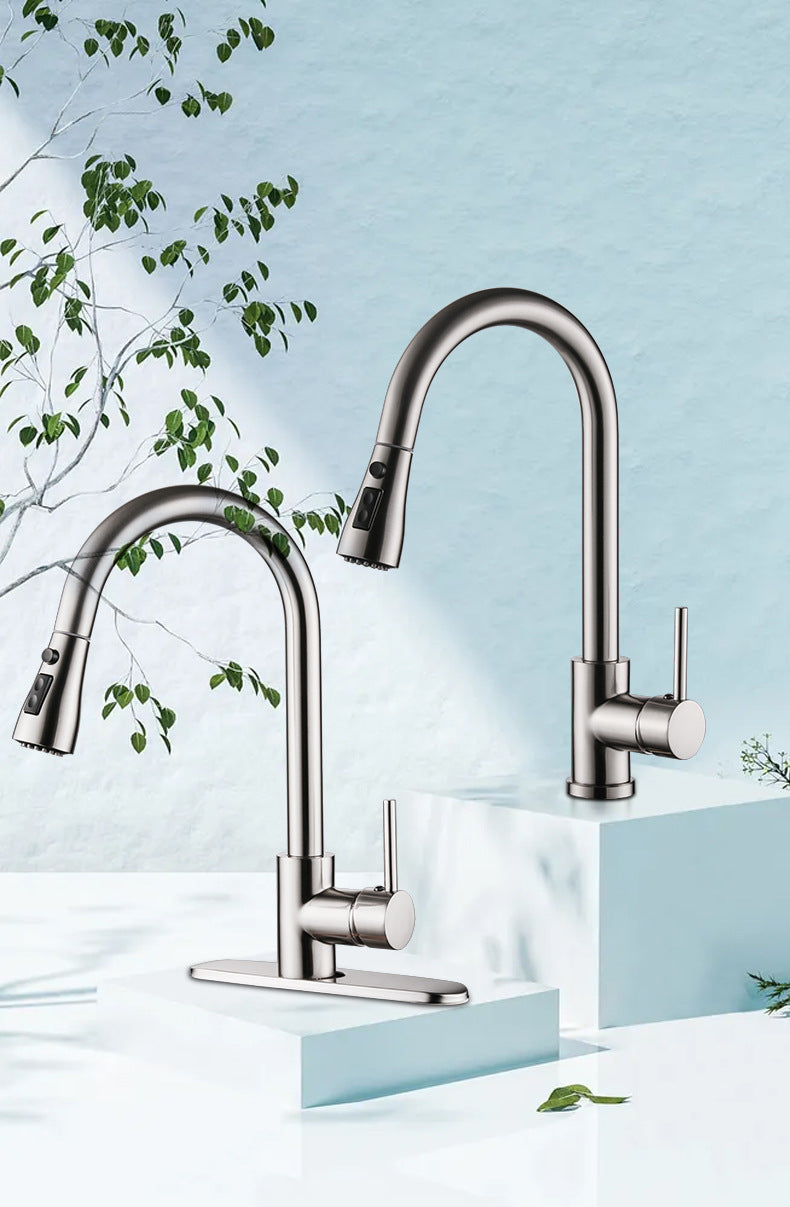 Stainless Steel Pull-Out Basin Mixing Faucet