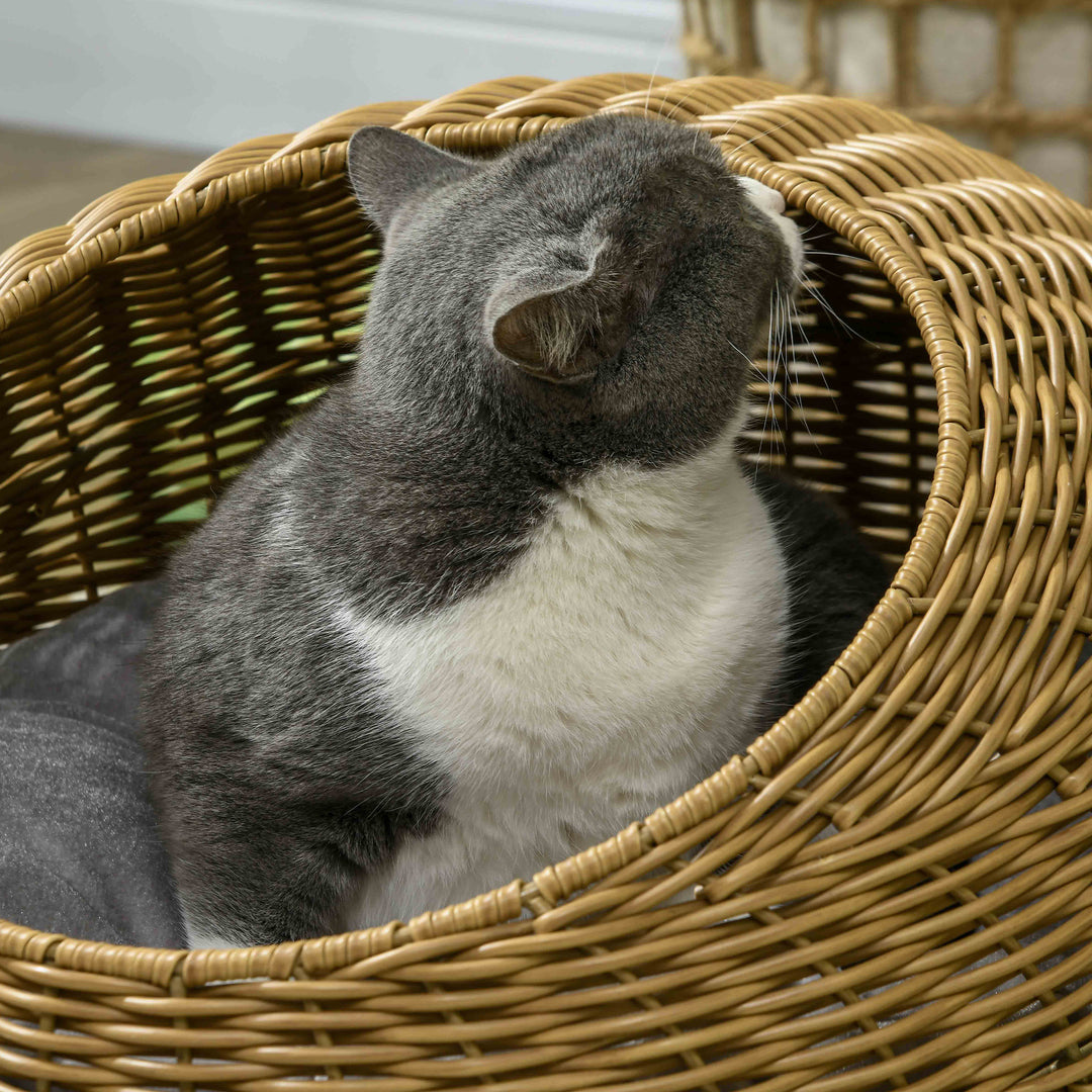 Rattan Cat Bed with Washable Cushion for Cats, Puppies, Light Brown