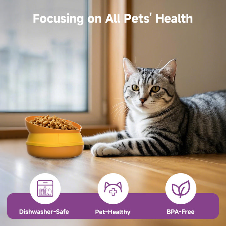 Hamburger Multi-Layer Pet Bowl – 5-in-1 Interactive Cat &amp; Dog Feeding Set