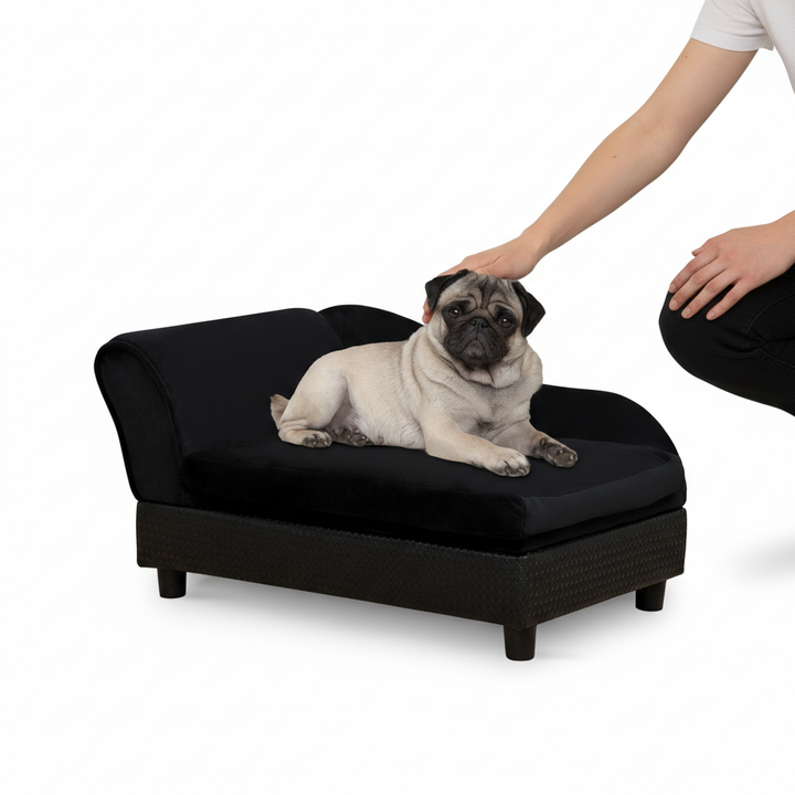 Pet Sofa Bed Couch with Storage, Pet Sofa for Cats and Small Dogs, Black