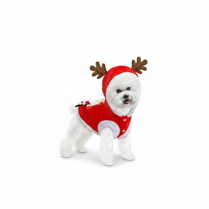 Pet Christmas Costume – Santa Claus Reindeer Outfit for Dogs & Cats
