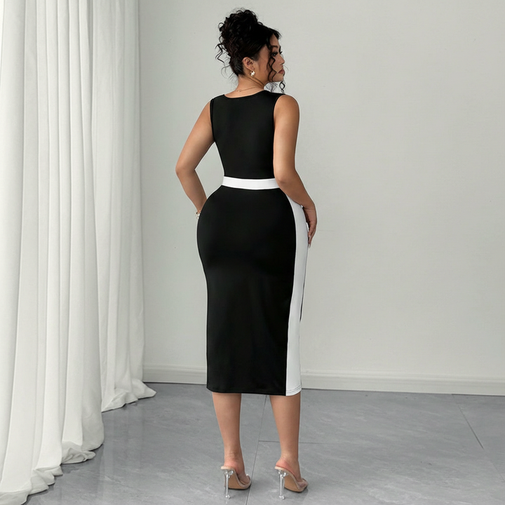 Women's Elegant Intellectual Style Contrasting-color Dress