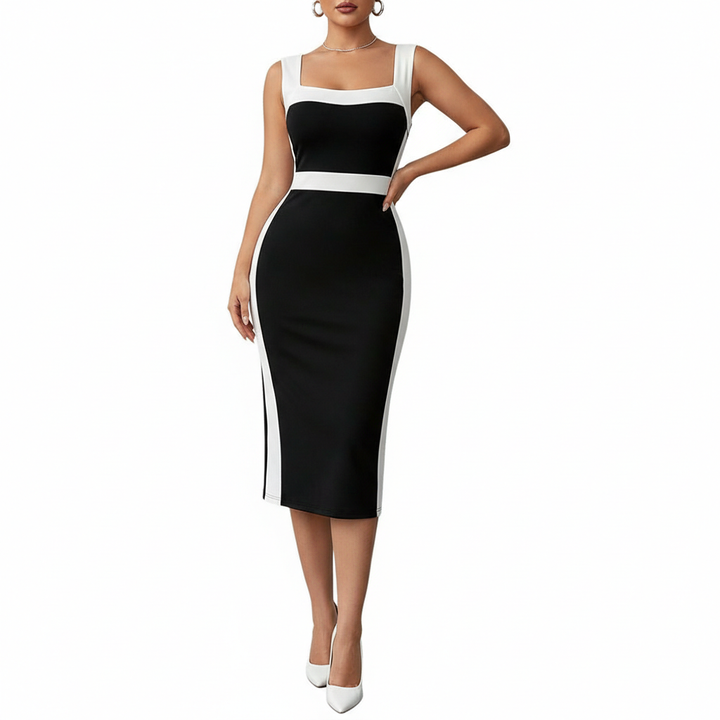 Women's Elegant Intellectual Style Contrasting-color Dress