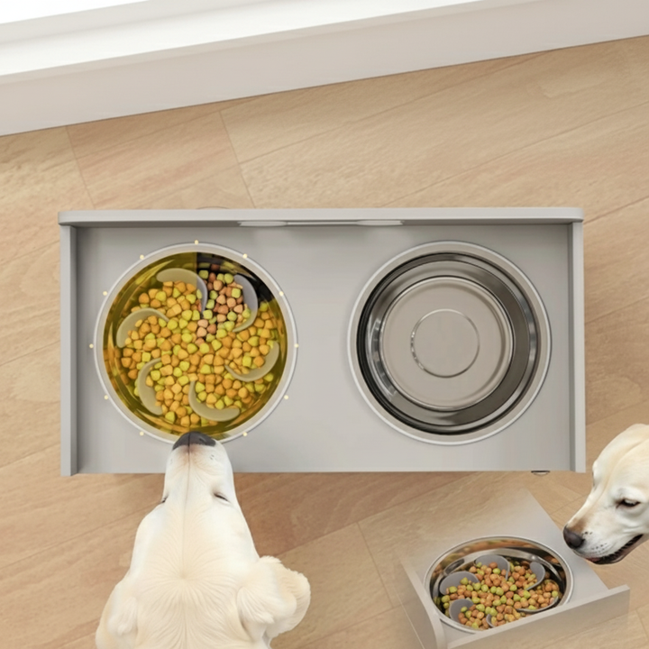 Elevated Dog Bowls with Dual Stainless Steel Bowls & Removable Slow Feeder