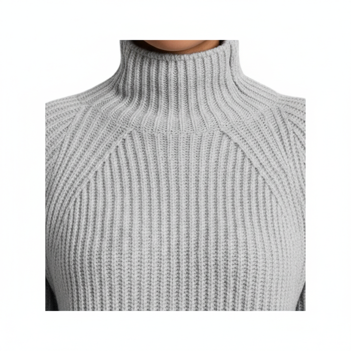 Solid Turtleneck Long Sweater Winter Warm Women Sweater Dress