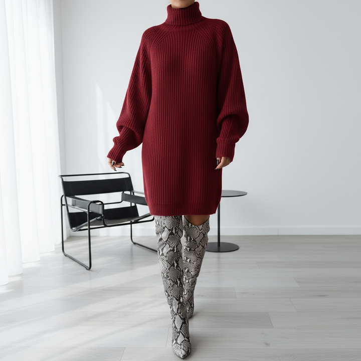 Solid Turtleneck Long Sweater Winter Warm Women Sweater Dress