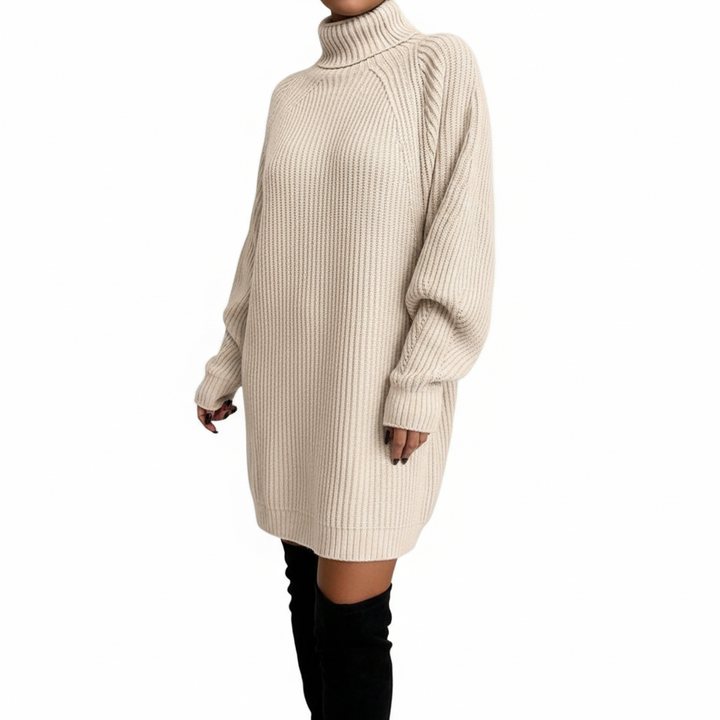 Solid Turtleneck Long Sweater Winter Warm Women Sweater Dress