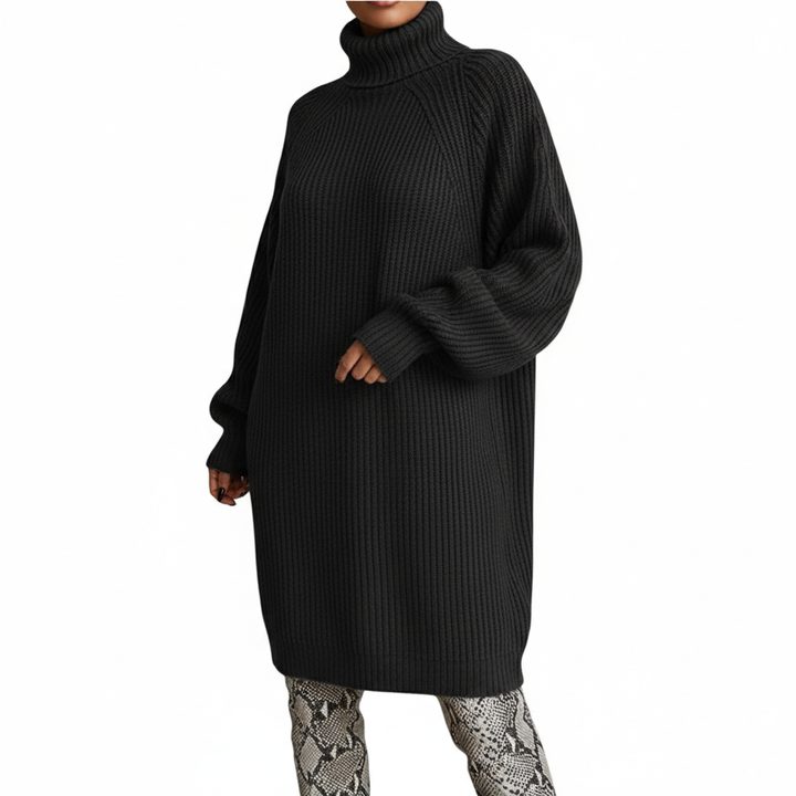 Solid Turtleneck Long Sweater Winter Warm Women Sweater Dress
