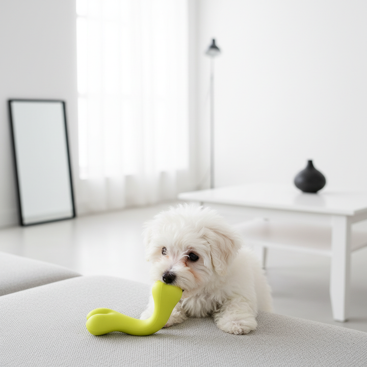 Pet Toys, Rubber Bite Resistant Toys, High Quality Dog Bone Type