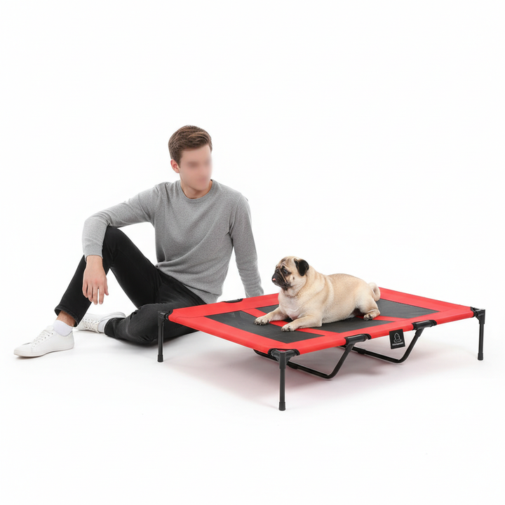 Pet Cages And Beds Will Not Be Provided On Weekends, Amazon Shipping, WalMart Banned From Sale