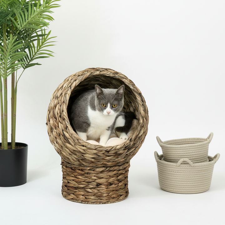 20.5" Weaved Cat Bed, Elevated Hand-woven Braided Banana Leaf Kitten House Condo with Cushion, Brown