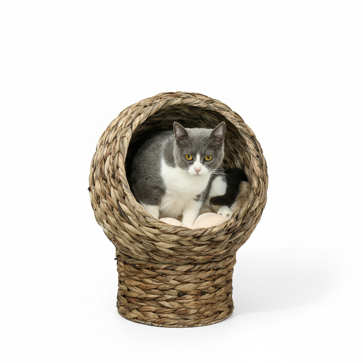 20.5" Weaved Cat Bed, Elevated Hand-woven Braided Banana Leaf Kitten House Condo with Cushion, Brown