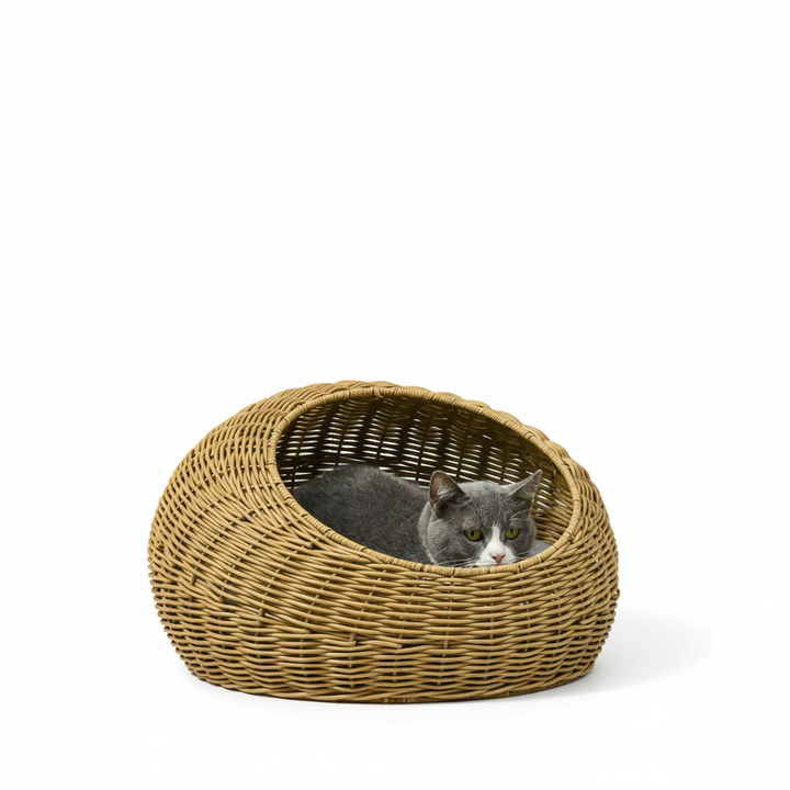 Rattan Cat Bed with Washable Cushion for Cats, Puppies, Light Brown