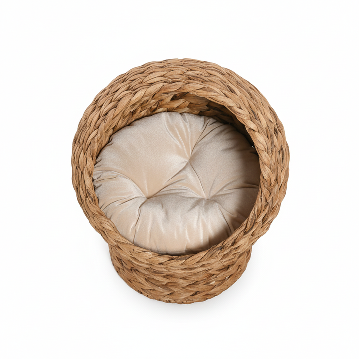 20" Natural Braided Banana Leaf Elevated Cat Bed Basket with Cushion - Brown