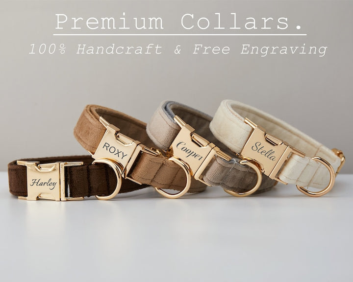 Premium Velvet Dog Collar &amp; Leash Set with Bow Tie – Personalized Engraved Buckle