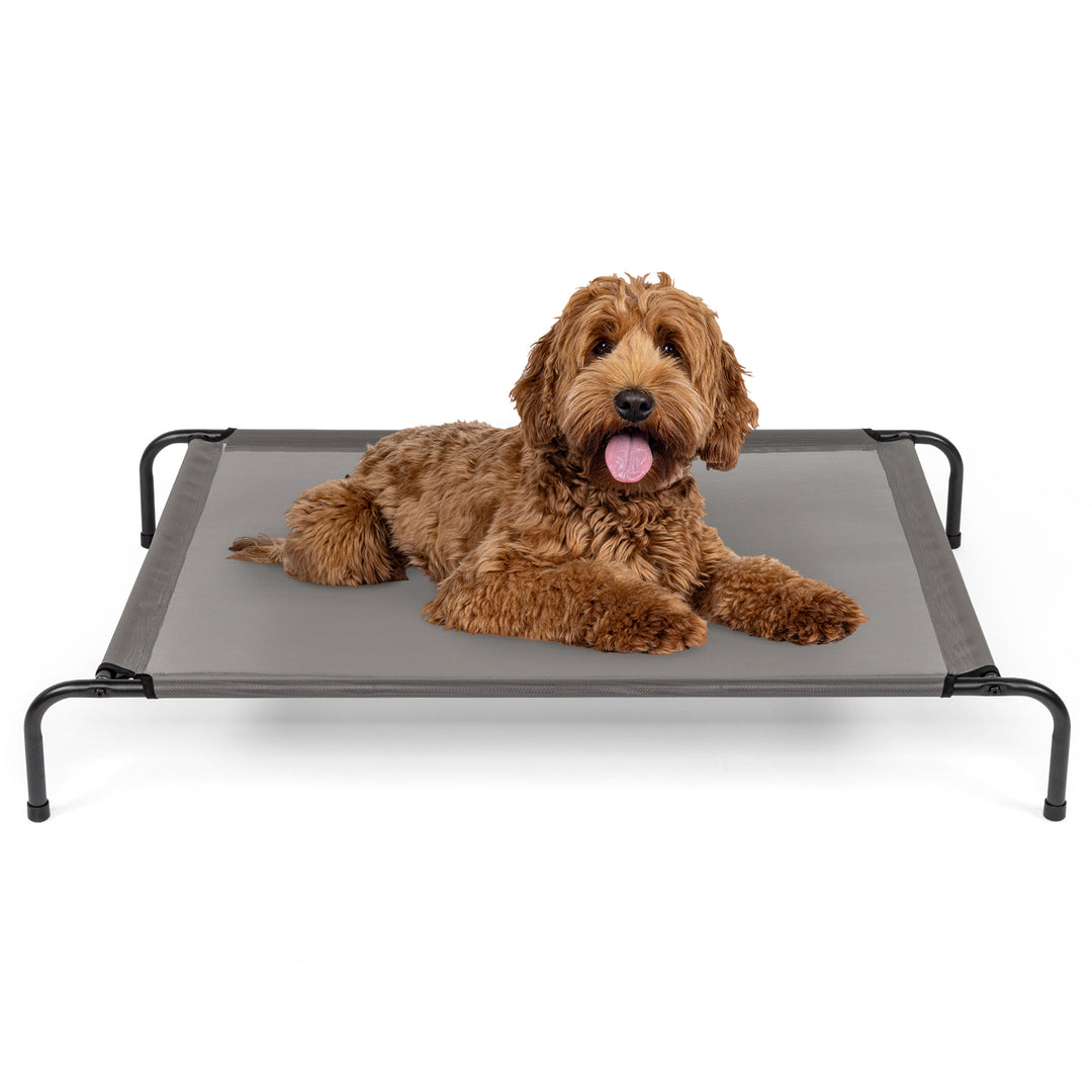 Raised Cooling Dog Bed – Elevated Pet Cot for Small; Medium Dogs