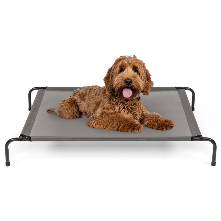 Raised Cooling Dog Bed – Elevated Pet Cot for Small; Medium Dogs