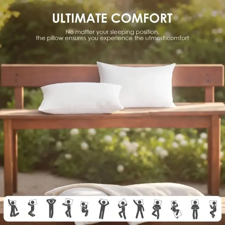 Throw Pillows , 2pack