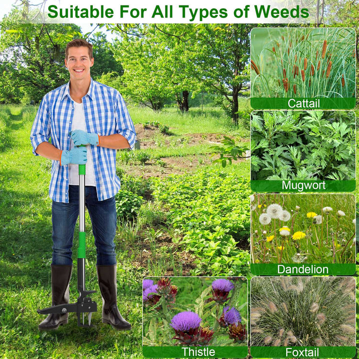 Stand-Up Aluminum Weed Puller — 4-Claw Manual Weeder, No Bending or Kneeling, for Lawn, Yard & Garden (Green)