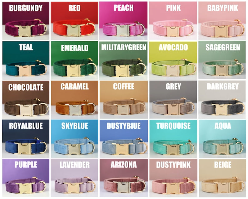 Premium Velvet Dog Collar &amp; Leash Set with Bow Tie – Personalized Engraved Buckle