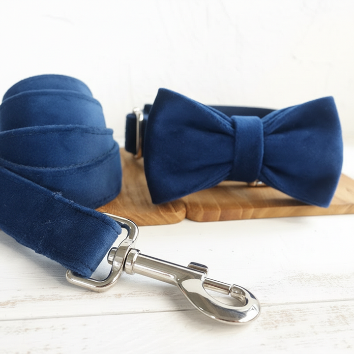 Bow pet collar large and small pet traction collar dog chain
