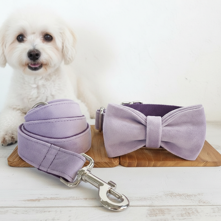 MUTTCO drawstring traction belt set