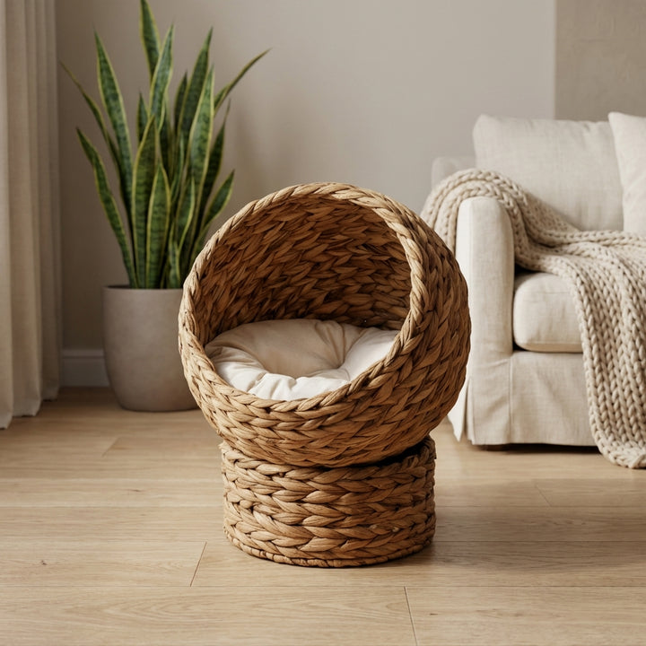 20" Natural Braided Banana Leaf Elevated Cat Bed Basket with Cushion - Brown