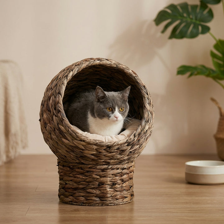 Handwoven Elevated Cat Bed with Soft Cushion & Egg Chair Shape, Basket Bed Kitty House with Stand, Raised Wicker House for Indoor Cats, 20" H, Gray