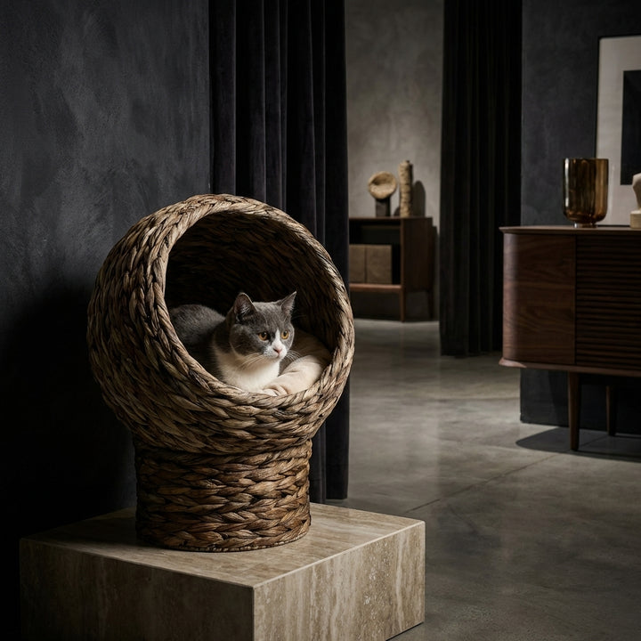 Handwoven Elevated Cat Bed with Soft Cushion & Egg Chair Shape, Basket Bed Kitty House with Stand, Raised Wicker House for Indoor Cats, 20" H, Gray