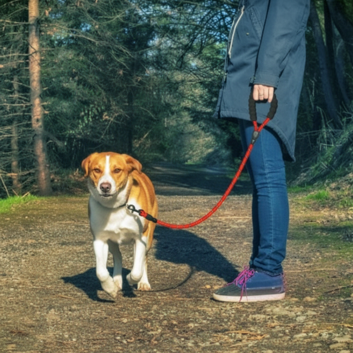 Reflective Dog Leash Nylon Pet Dog Leash Rope For Small Medium Large Dogs Walking Training Pet Suppiles