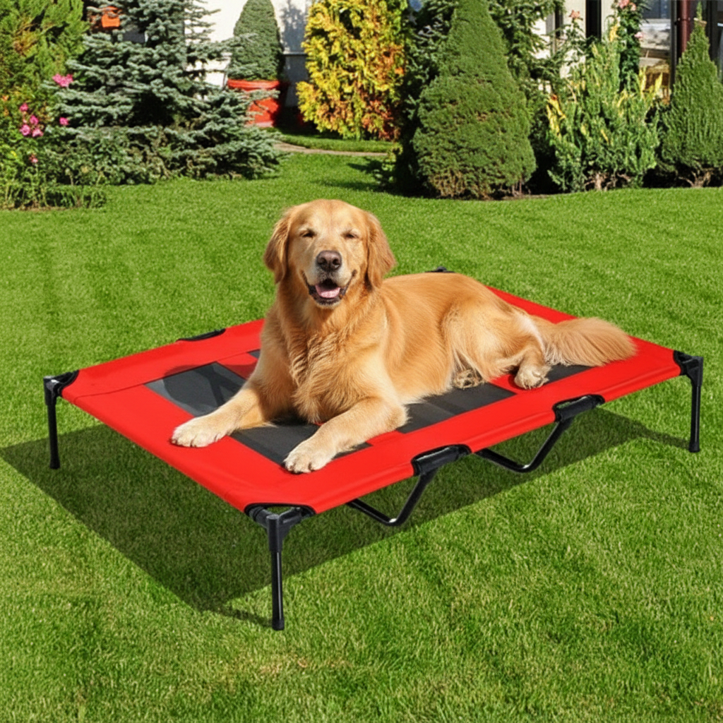Pet Cages And Beds Will Not Be Provided On Weekends, Amazon Shipping, WalMart Banned From Sale