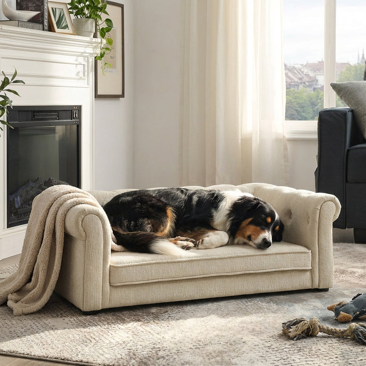 Elegant Elevated Dog Sofa Bed – Modern Pet Couch for Medium & Large Dogs
