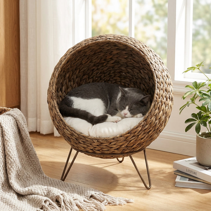 20.5" Weaved Cat Bed, Elevated Hand-woven Braided Banana Leaf Kitten House Condo with Cushion, Brown