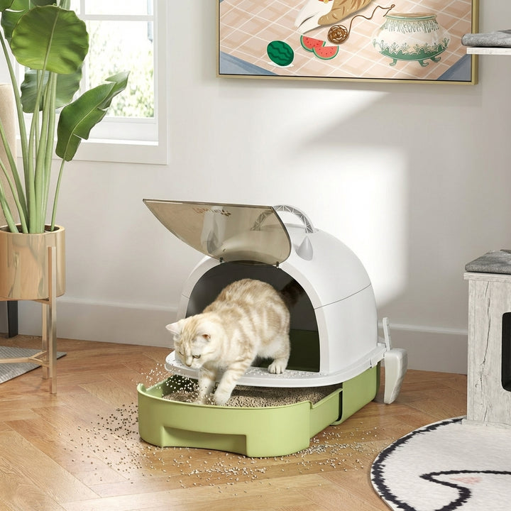 Covered Cat Litter Box with Lid, Scoop, Deodorizing Bags for Odor Control, Privacy, Easy to Clean, Green
